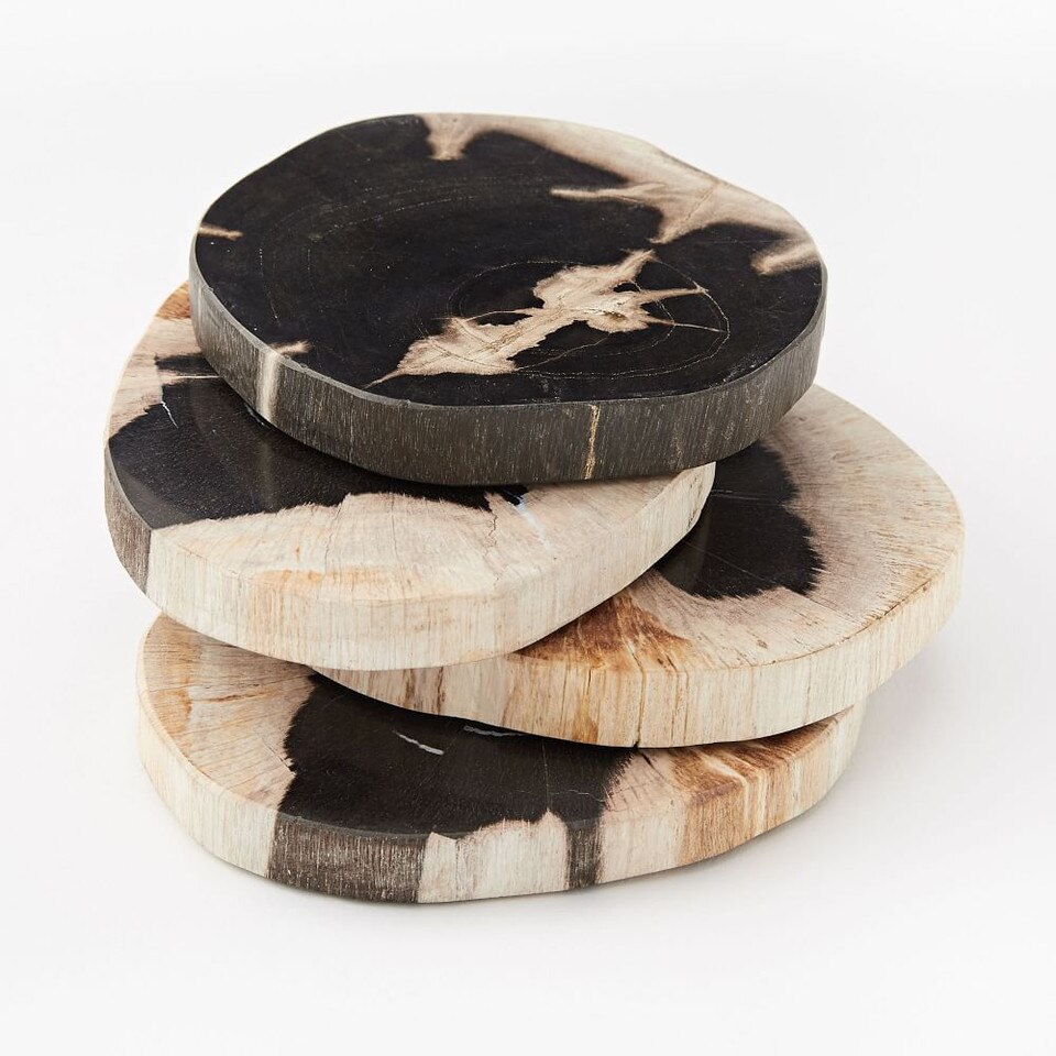 Petrified Wood Coasters (Set of 4) west elm United Kingdom